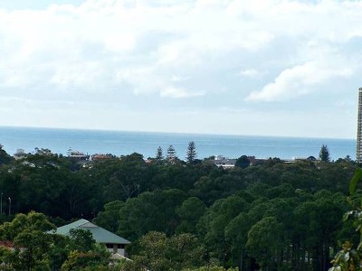 WOW What A View! Picture