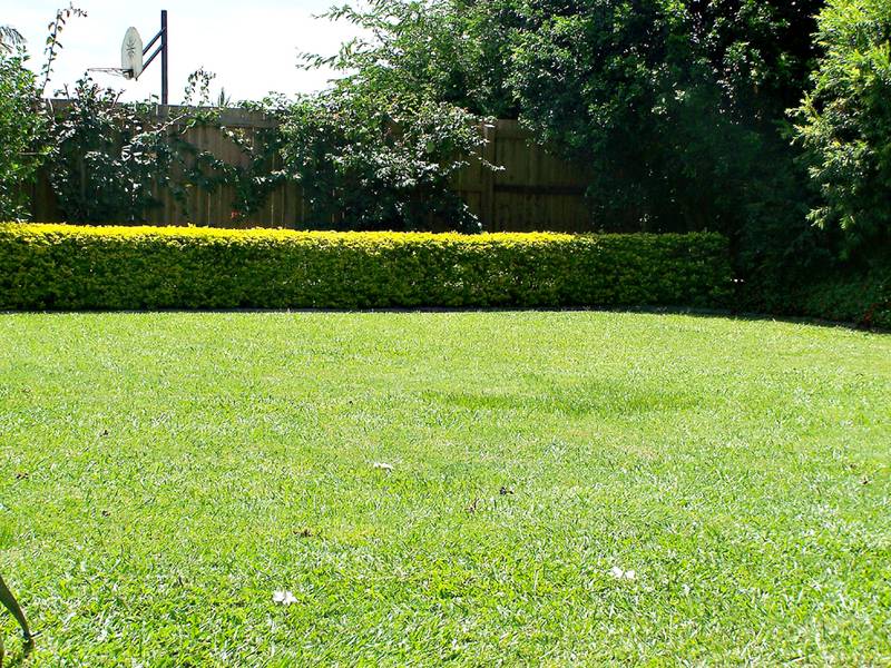 Value for Money ! Picture 3