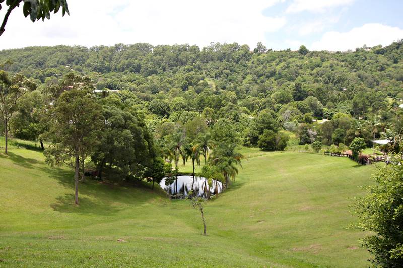 Horse Friendly!! 2 Houses!! Picture 2