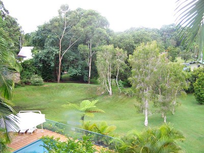 Best In Complex! Picture