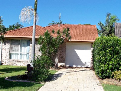 The Pocket Rocket!! Picture