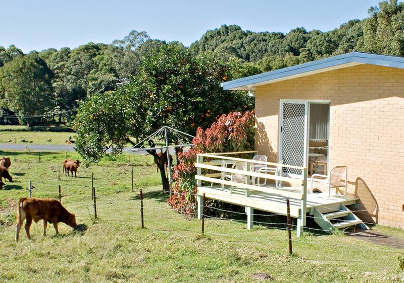 PRICE SLASHED FOR QUICK SALE Picture 3