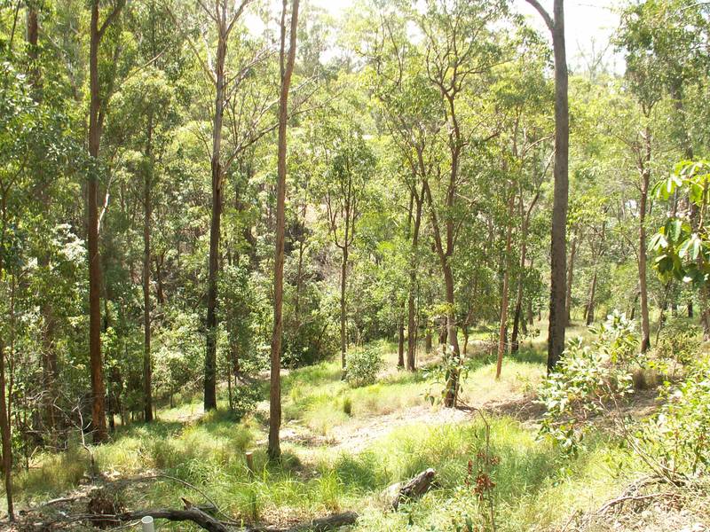 ELEVATED VACANT LAND Picture 1