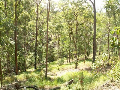 ELEVATED VACANT LAND Picture