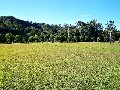 CURRUMBIN VALLEY Picture