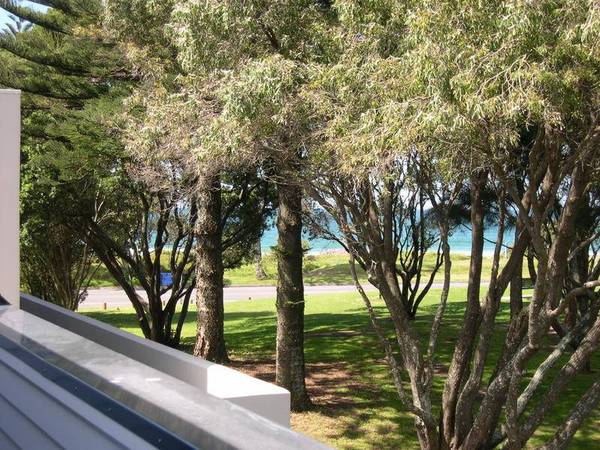 Sea & Reserve Views Picture 1