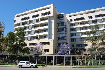 Great Return! Picture Great Return! Picture