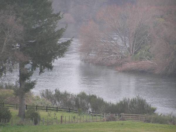 Rangatira Park Section Picture 2