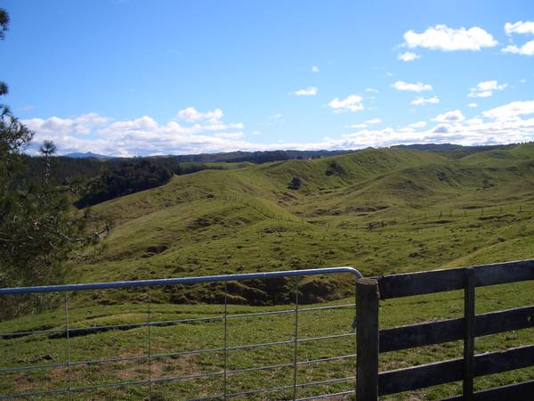 100 ACRES BARE LAND Picture 3