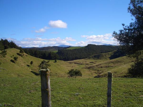 100 ACRES BARE LAND Picture 1