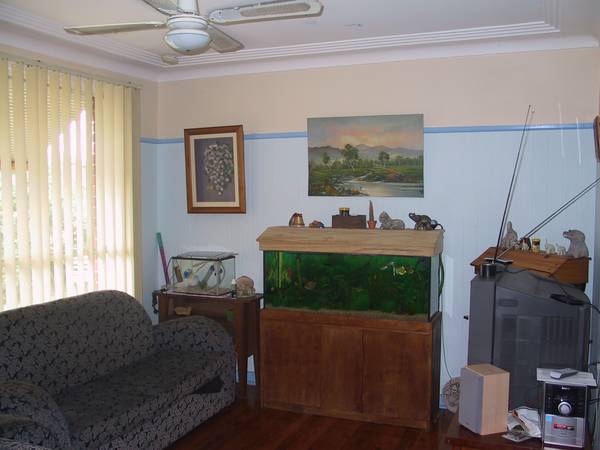 LOADS OF POTENTIAL Picture 3