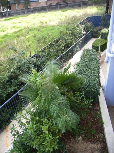 3 AND A HALF YEARS YOUNG Picture 3