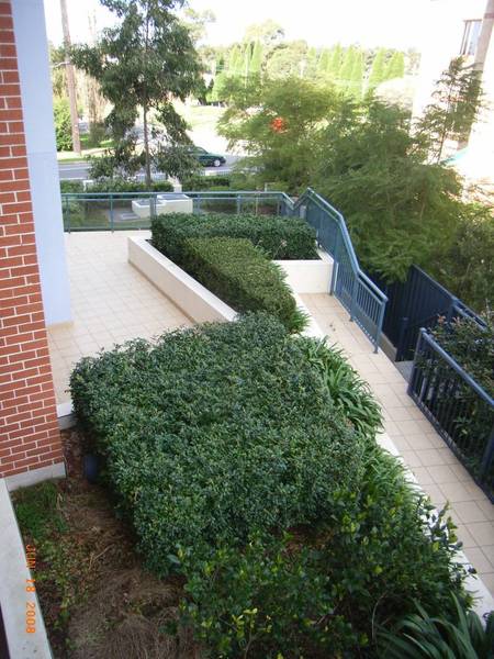 3 AND A HALF YEARS YOUNG Picture 2