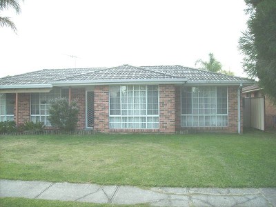 HUGE CORNER BLOCK WITH 2 ENTRANCES Picture HUGE CORNER BLOCK WITH 2 ENTRANCES Picture