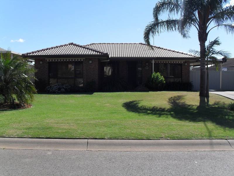 THE WOW FACTOR Picture 1