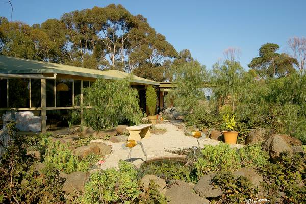 ESTABLISHED ACRES Picture ESTABLISHED ACRES Picture