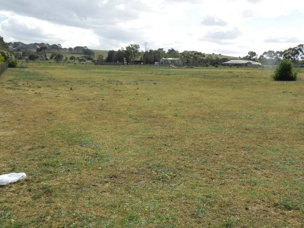 5 Vacant Acres Picture