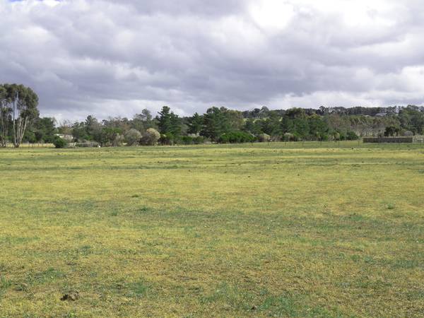 5 Vacant Acres Picture