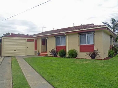 ABSOLUTELY MAGNIFICENT Picture