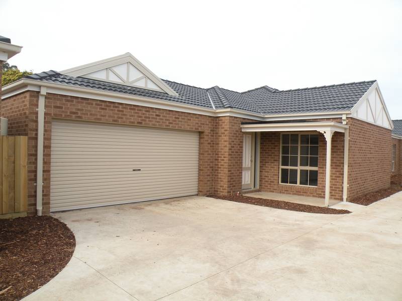 Brand New Townhouse Picture 1