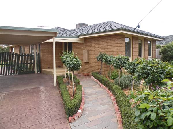 JUST DELIGHTFUL Picture