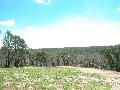 ONE FOR THE NATURE LOVER Picture