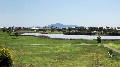 CANTERBURY LAKES ESTATE LARA STAGE 3 SELLING NOW! Picture