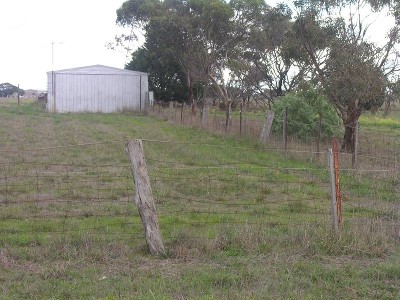 5 VACANT ACRES READY TO BUILD ON Picture