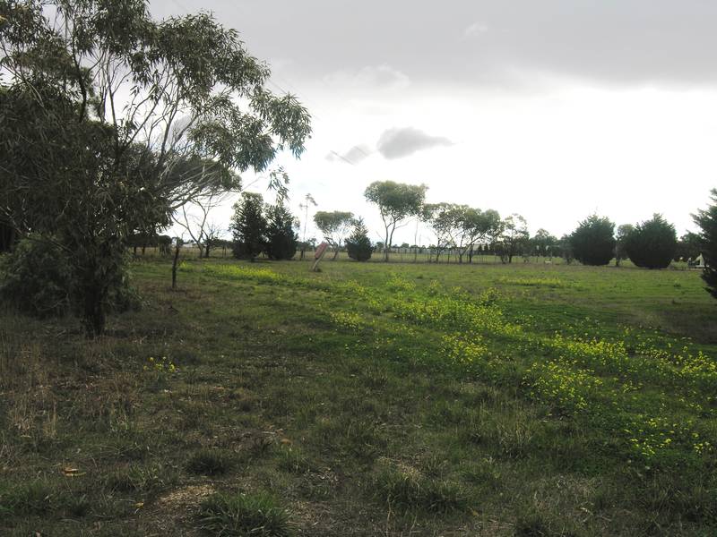 5 VACANT ACRES READY TO BUILD ON Picture 2