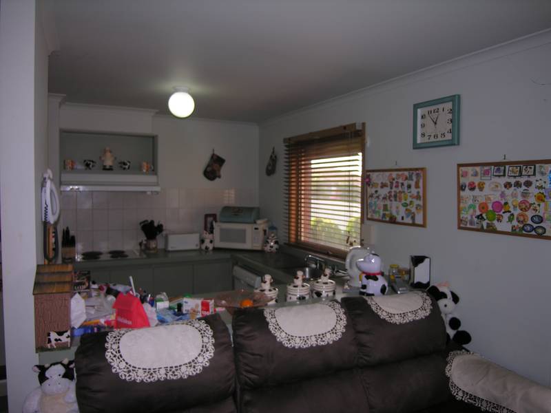 PERFECT START OR INVESTMENT Picture 3