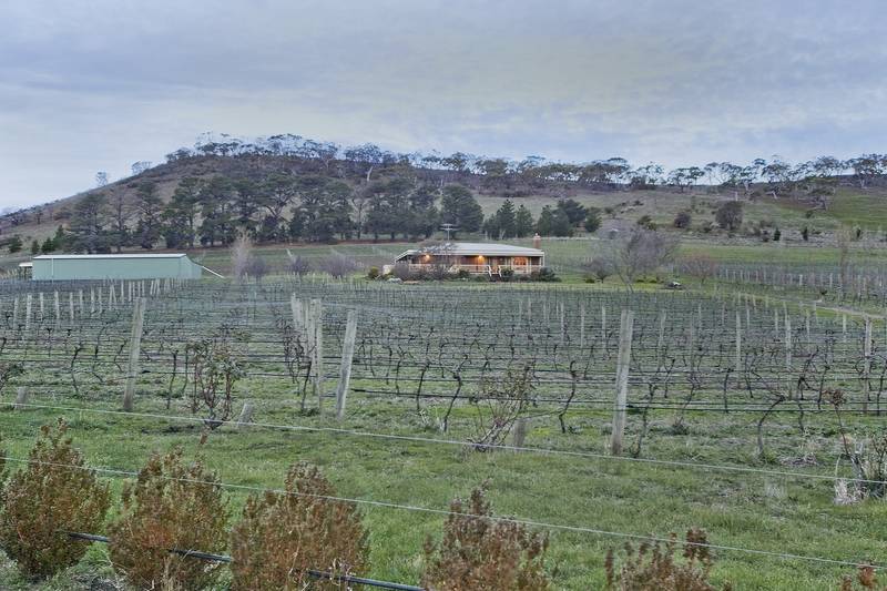 BLUE CHIP LIFESTYLE OPPORTUNITY Picture 2