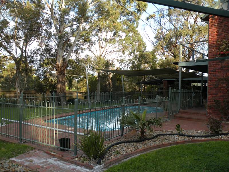 "THE ENTERTAINER" on a HUGE 1/4 Acre Block Picture 3