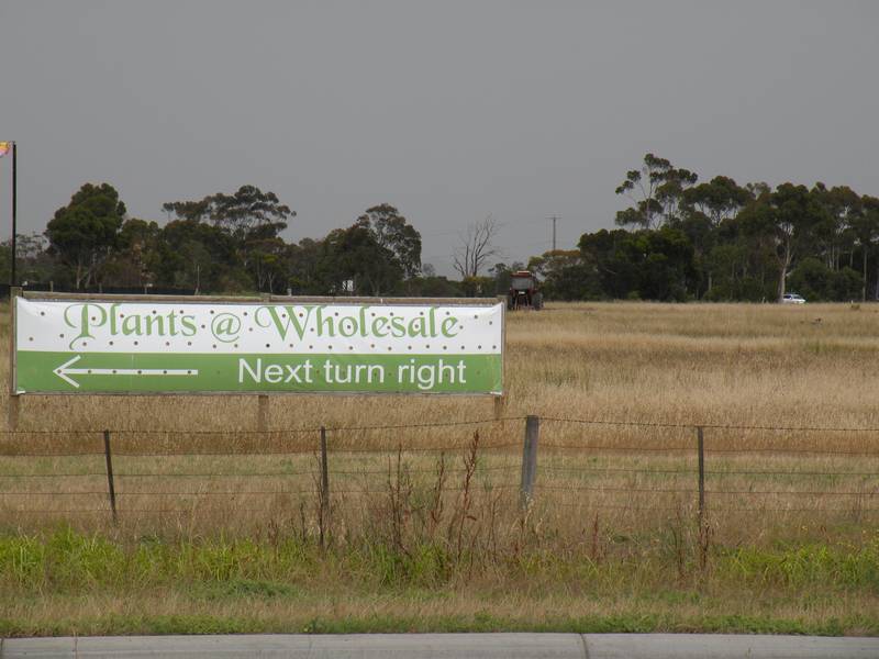 Established State of The Art Nursery with 4 Bedroom Home Picture 3