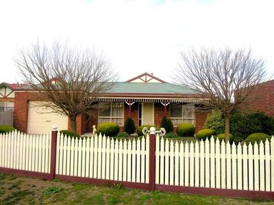 Behind the picket fence. Picture