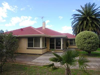 PERFECTLY MAINTAINED Picture PERFECTLY MAINTAINED Picture