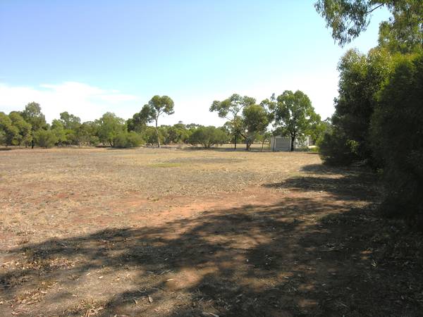 PRIVATE 1/2 ACRE LAND Picture 2