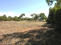 PRIVATE 1/2 ACRE LAND Picture PRIVATE 1/2 ACRE LAND Picture