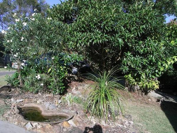 Large Modern Contemporary Highset Home Picture Large Modern Contemporary Highset Home Picture