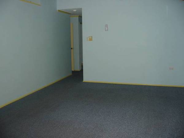 Fully Fenced Family Home Picture Fully Fenced Family Home Picture