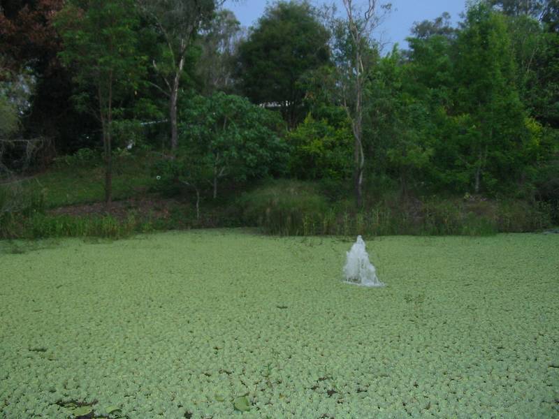 The Whole Lifestyle Package Picture 3