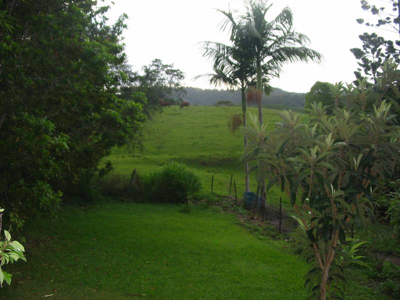 The Whole Lifestyle Package Picture 1