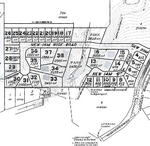 New Beginings Picture New Beginings Picture