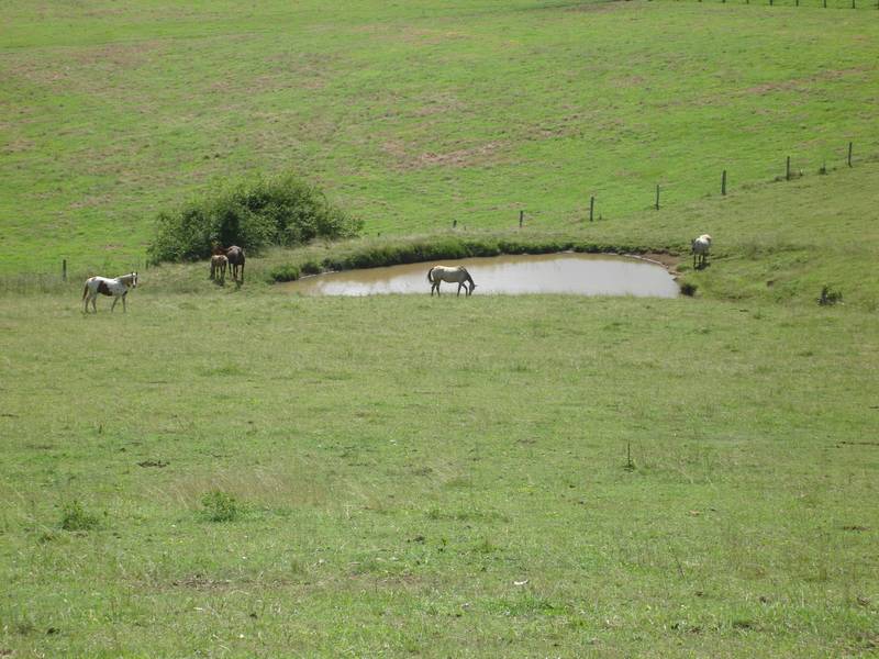 41.68 Hectares In Kenilworth Picture 2