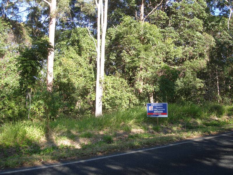 LARGE VACANT BLOCK Picture 1