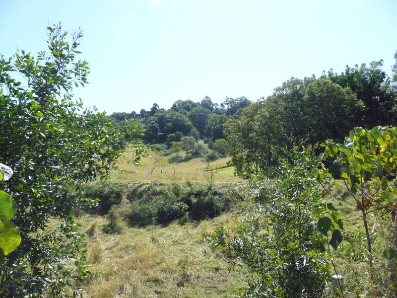 CAPTURE THE BREEZE - CAPTURE THE VIEW Picture 2