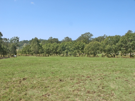 RURAL VIEWS TOWARDS THE COAST Picture 1