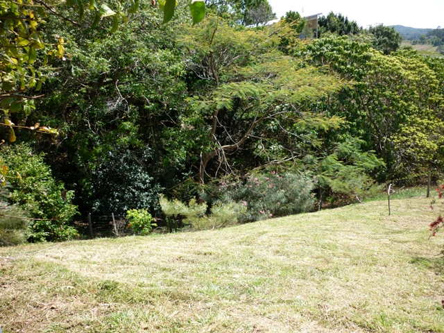 Immaculate Family Home Picture 3