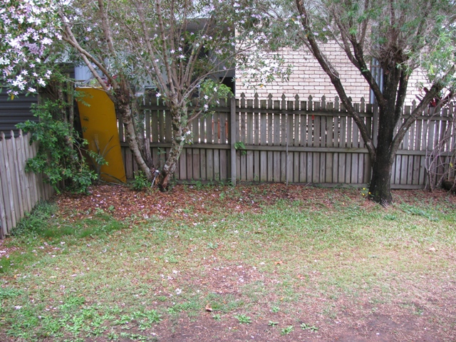 Large 2 bedroom Unit Picture 3