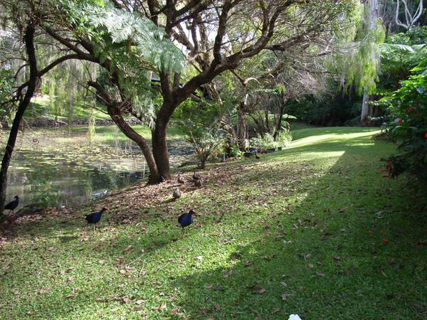 Retire at Beautiful Laurel Springs Picture 1