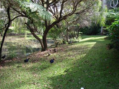 Retire at Beautiful Laurel Springs Picture